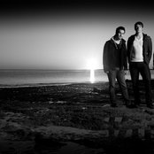 Between The Trees - List pictures