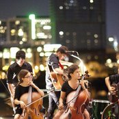 Mother Falcon - List pictures