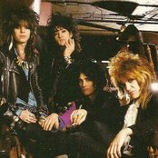 Dogs Damour - List pictures