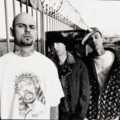 Transplants - List pictures