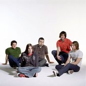 Finch - List pictures