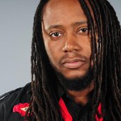 Duane Stephenson - List pictures