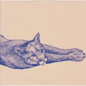 Koen Holtkamp - List pictures