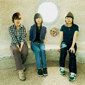 Chat Monchy - List pictures