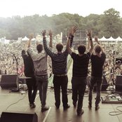 Seed To Tree - List pictures