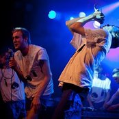 Den Svenska Björnstammen - List pictures