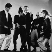 Shriekback - List pictures