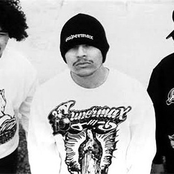 Funkdoobiest - List pictures