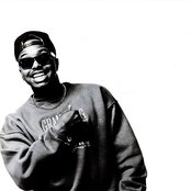 Domino - List pictures