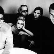 Cardigans - List pictures