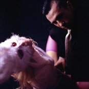 Spiritual Front - List pictures