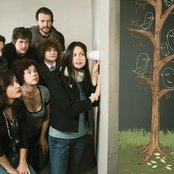 Woodpigeon - List pictures