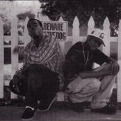 Tha Dogg Pound - List pictures