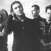 Big Sugar - List pictures