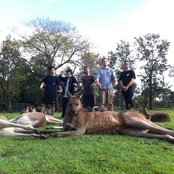 Counterparts - List pictures