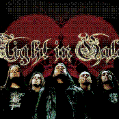 Night In Gales - List pictures