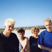 Foje - List pictures