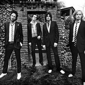 Stone Temple Pilots - List pictures