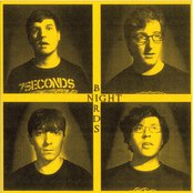 Night Birds - List pictures