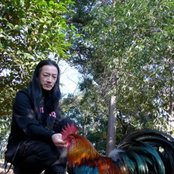 Merzbow - List pictures