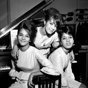 The Ronettes - List pictures