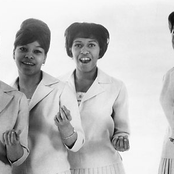 The Chiffons - List pictures