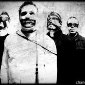 Broken Iris - List pictures