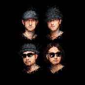 Monkey Majik - List pictures