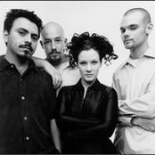 Plumb - List pictures