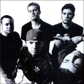 Limp Bizkit - List pictures