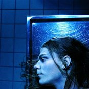 Diary Of Dreams - List pictures