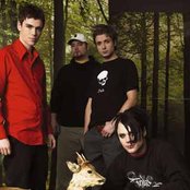 4lyn - List pictures