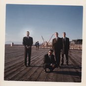 Silkworm - List pictures