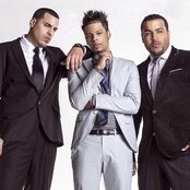 Vena - List pictures