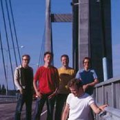 Aknestik - List pictures