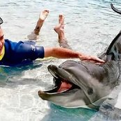 Justin Timberlake - List pictures