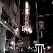 The Lions - List pictures