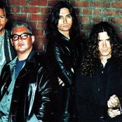 Jaguares - List pictures