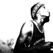 Raz Fresco - List pictures