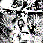 African Head Charge - List pictures