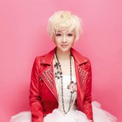 Fat Cat - List pictures