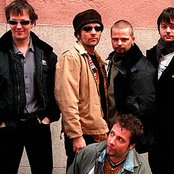 Dumdum Boys - List pictures