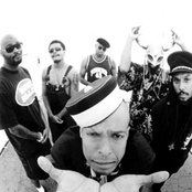 Fishbone - List pictures