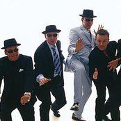 Madness - List pictures