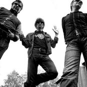 22-pistepirkko - List pictures