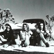 The Cult - List pictures