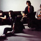 Xtc - List pictures