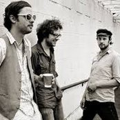 Plants And Animals - List pictures