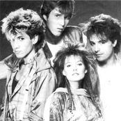 Spoons - List pictures