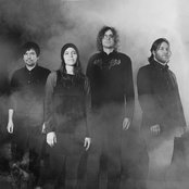 Besnard Lakes - List pictures